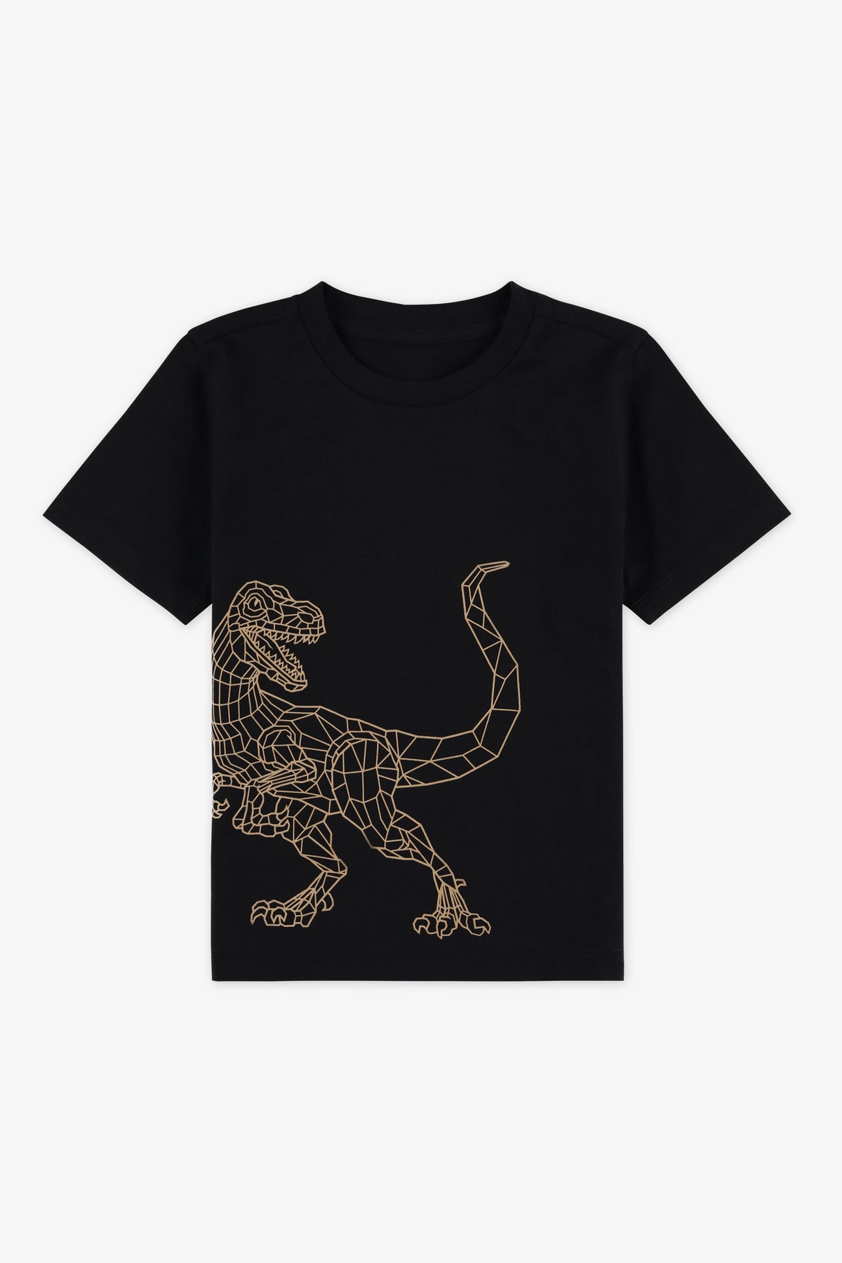Chandail manches courtes graphique 2/20$ - Enfant garçon && NOIR