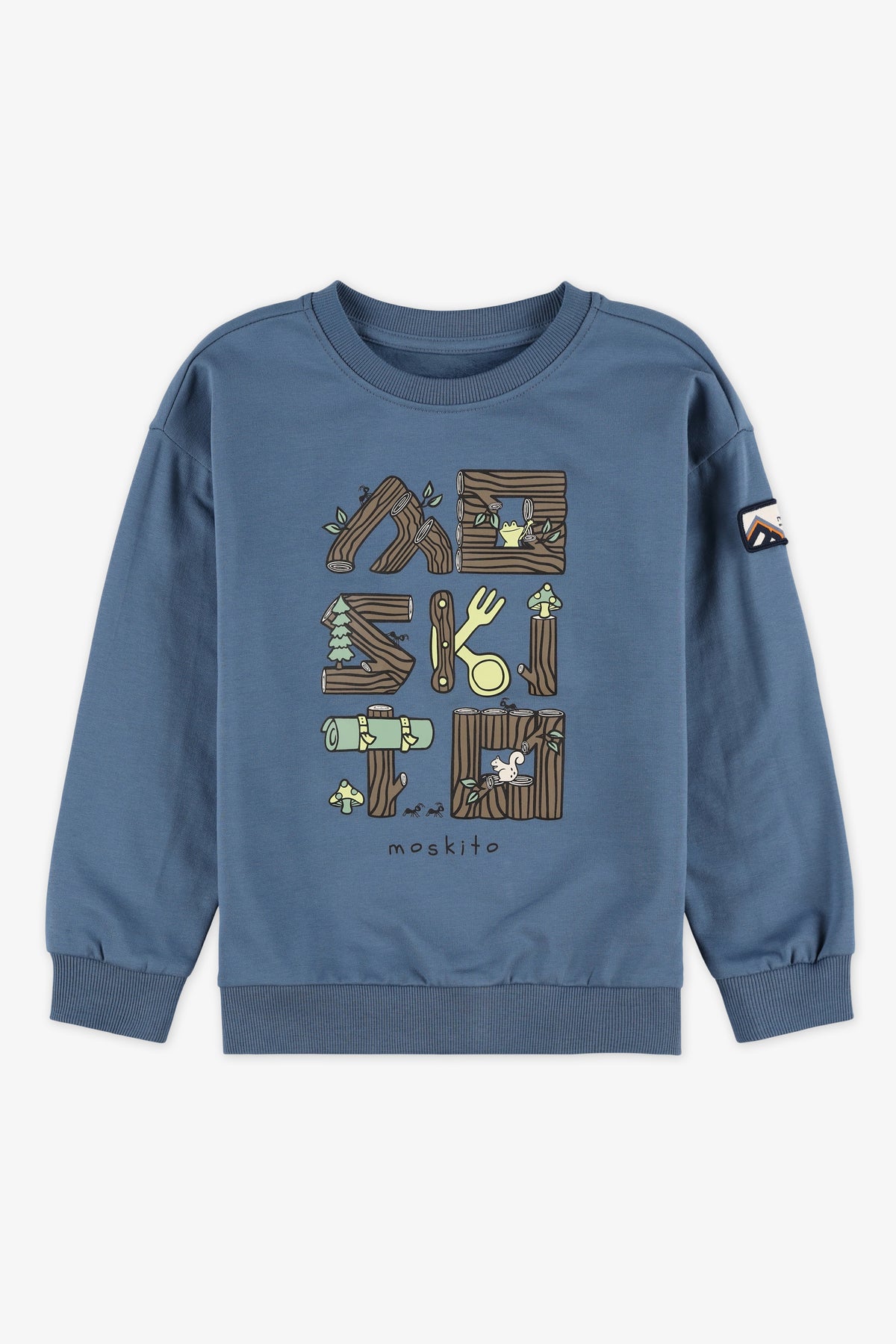 Chandail ouaté graphique - Enfant garçon && BLEU