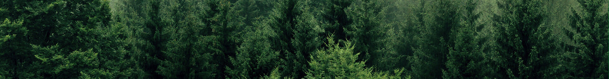 aubainerie_eco_4